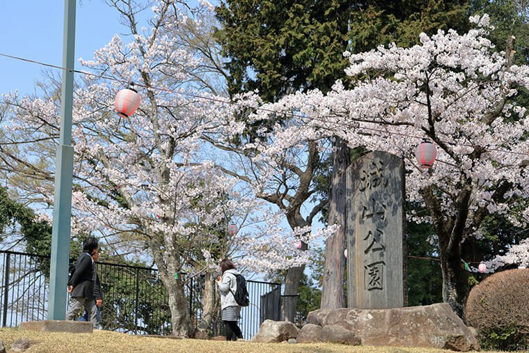 城山公園（小山祇園城跡）の桜