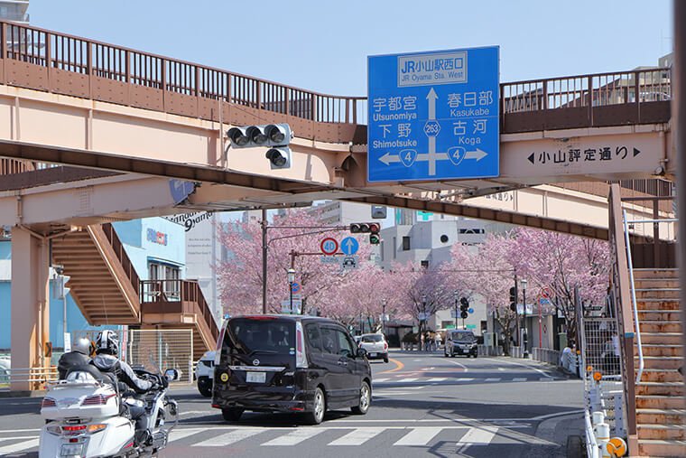 祇園城通りと国道4号の歩道橋