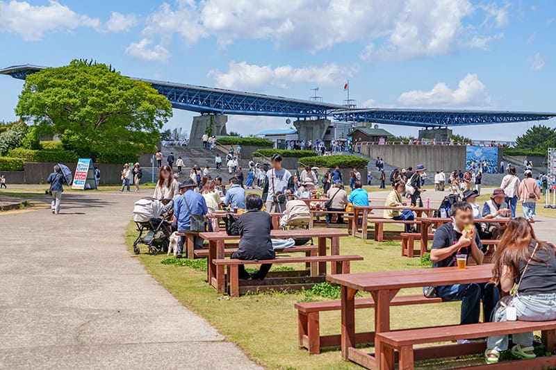 ひたち海浜公園の賑わい