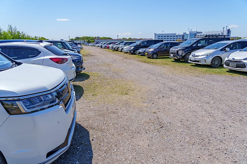 ひたち海浜公園の臨時駐車場