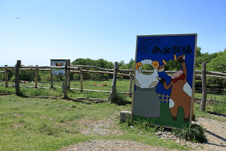 那須高原南ヶ丘牧場の憩いの小道