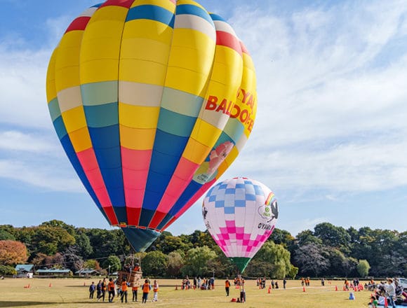 おやまバルーンフェスタの様子