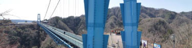 竜神大吊橋の全景