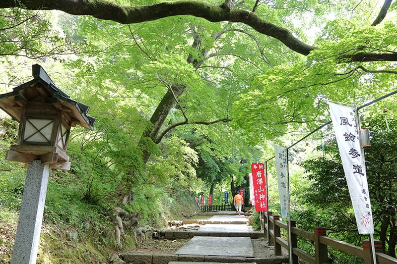 唐沢山城の大手道