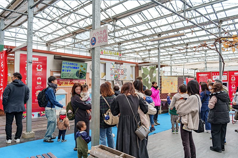 フルーツ狩りの注意やマナー案内の様子