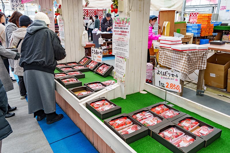 いちごの里のいちご販売