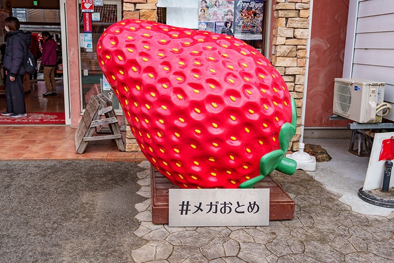 #メガおとめのオブジェ