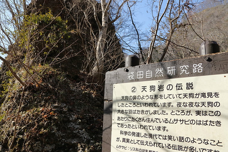 袋田自然研究路の天狗岩