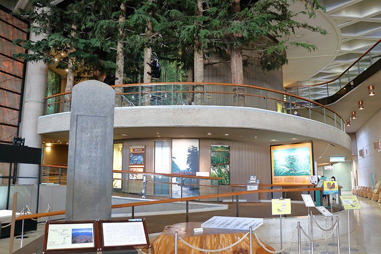 栃木県立博物館のスロープ展示