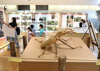 ぐんま昆虫の森の企画展示風景