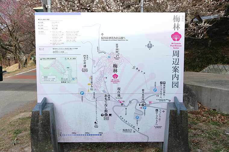 筑波山梅林の案内MAP