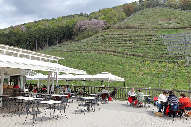 ココ・ファーム カフェのテラス席と葡萄畑