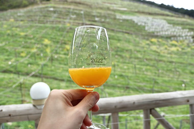 葡萄畑とミカンジュース