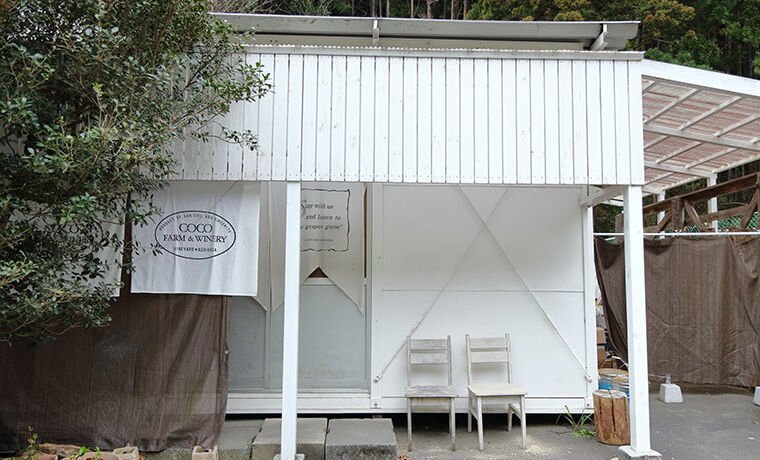 ココ・ファームのイメージ