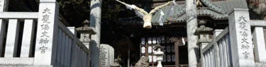 大甕神社の表参道