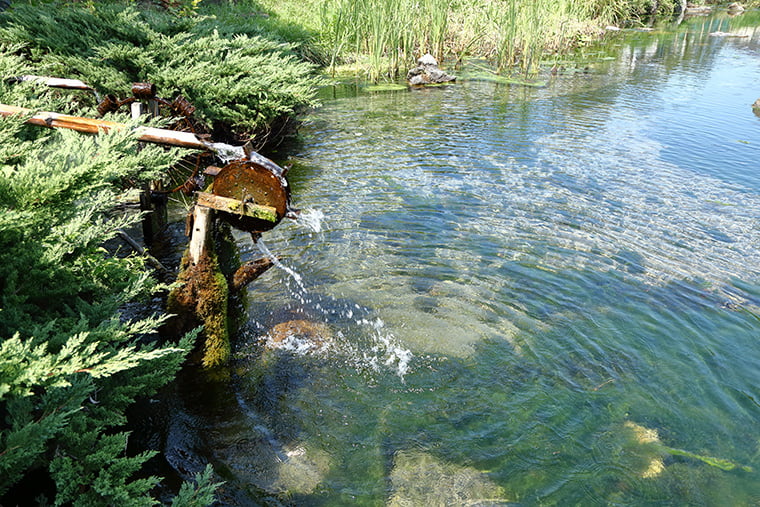 イトヨの里 泉が森公園の様子