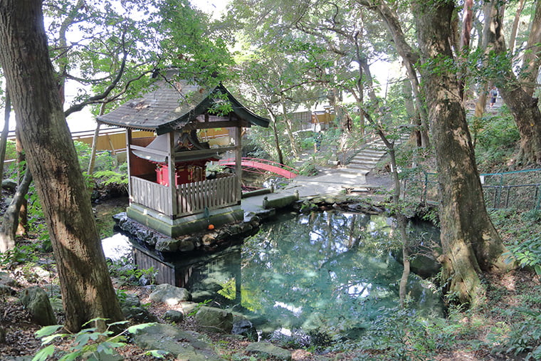 泉神社の泉（湧き水）