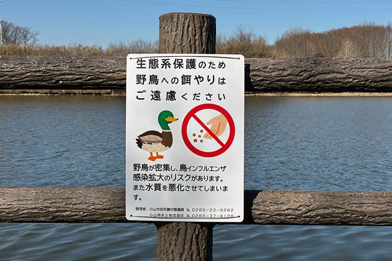 餌やり禁止の案内版