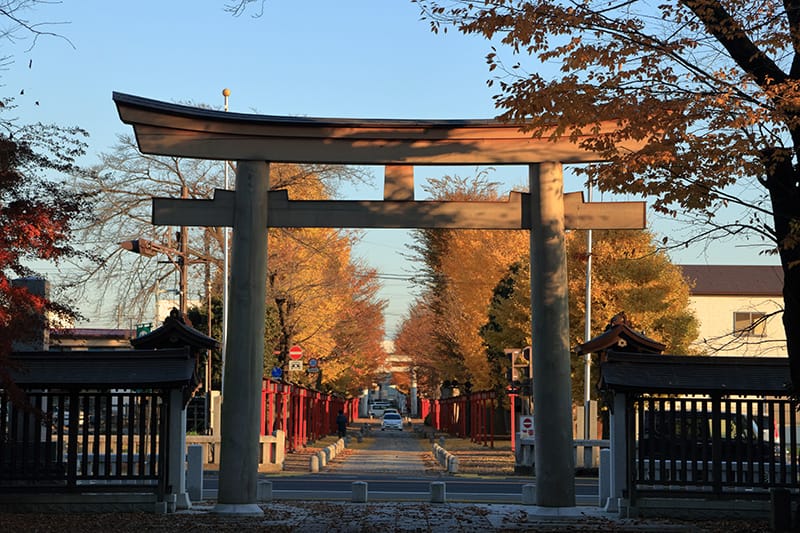 夕日に染まる須賀神社の秋の参道