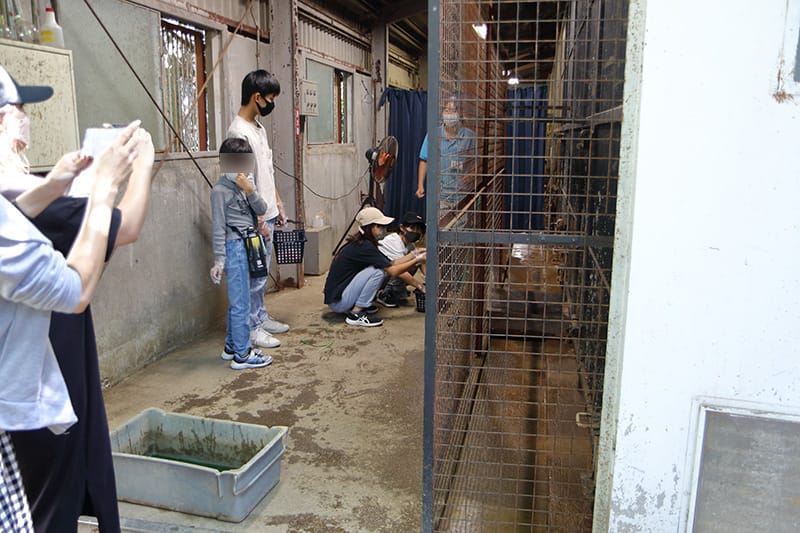 獣舎の中の様子